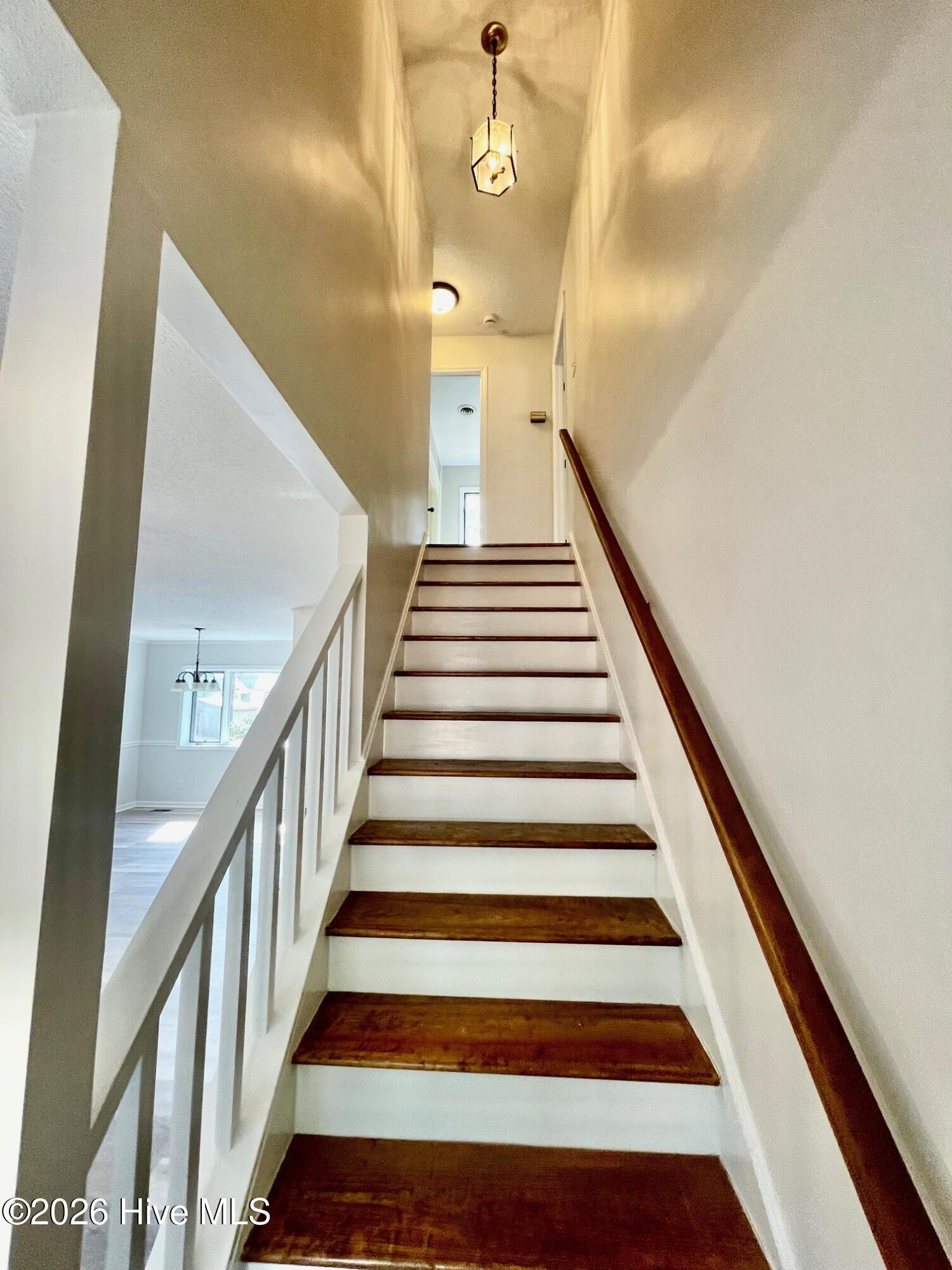 316 Bay Ridge Road Harrells, NC 28444 - Photo 15 of 18 best steps