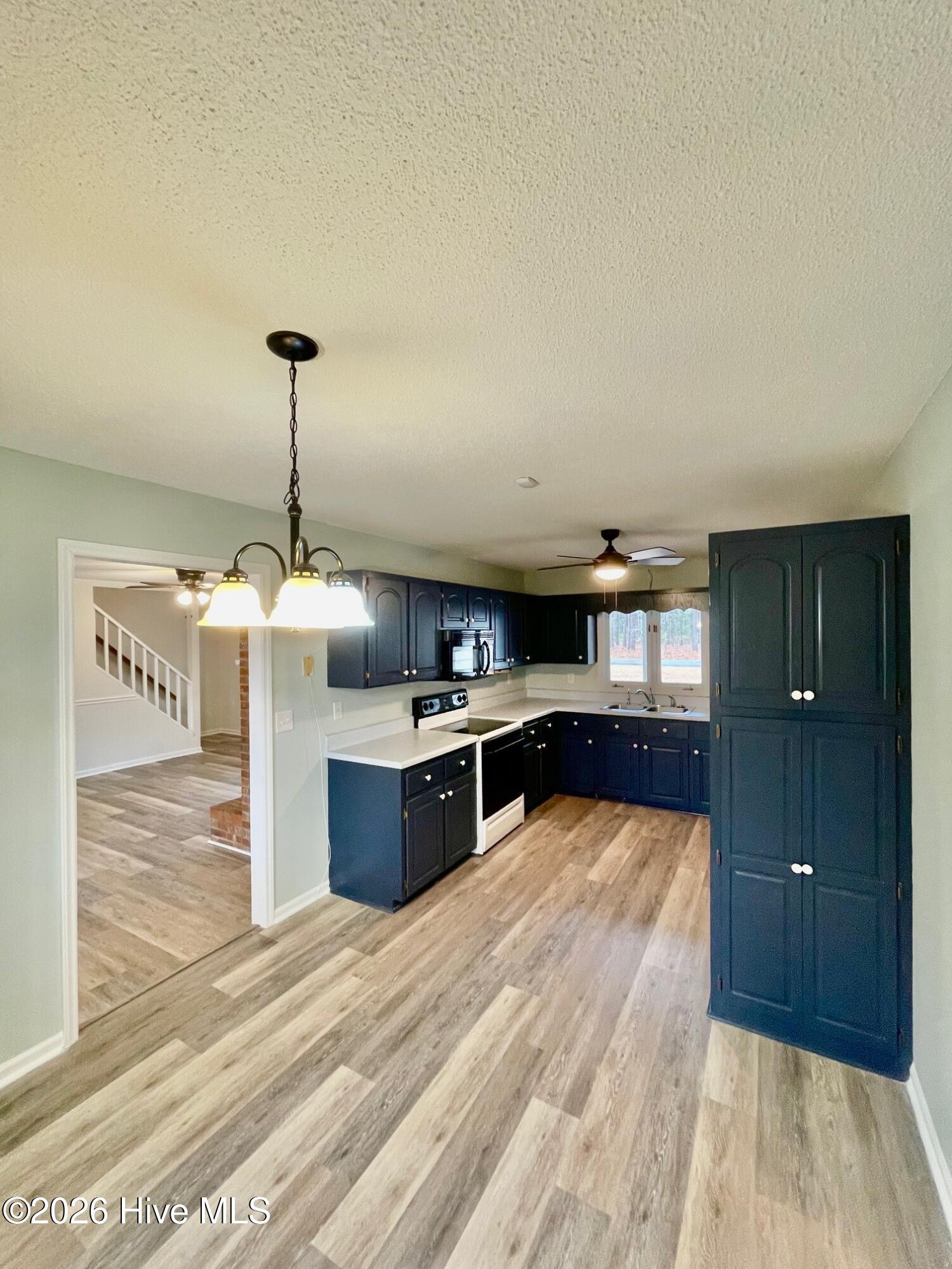 316 Bay Ridge Road Harrells, NC 28444 - Photo 10 of 18 kitchen redo