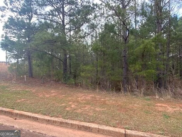 $400,000 | O G O G Skinner Drive, West Point, GA 31833