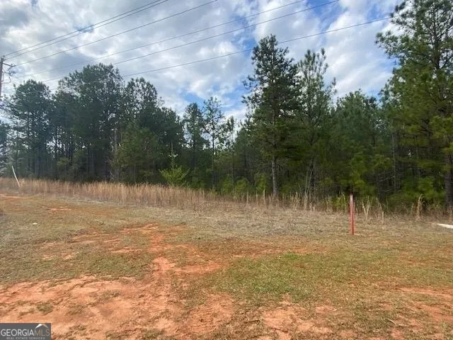 $400,000 | O G O G Skinner Drive, West Point, GA 31833