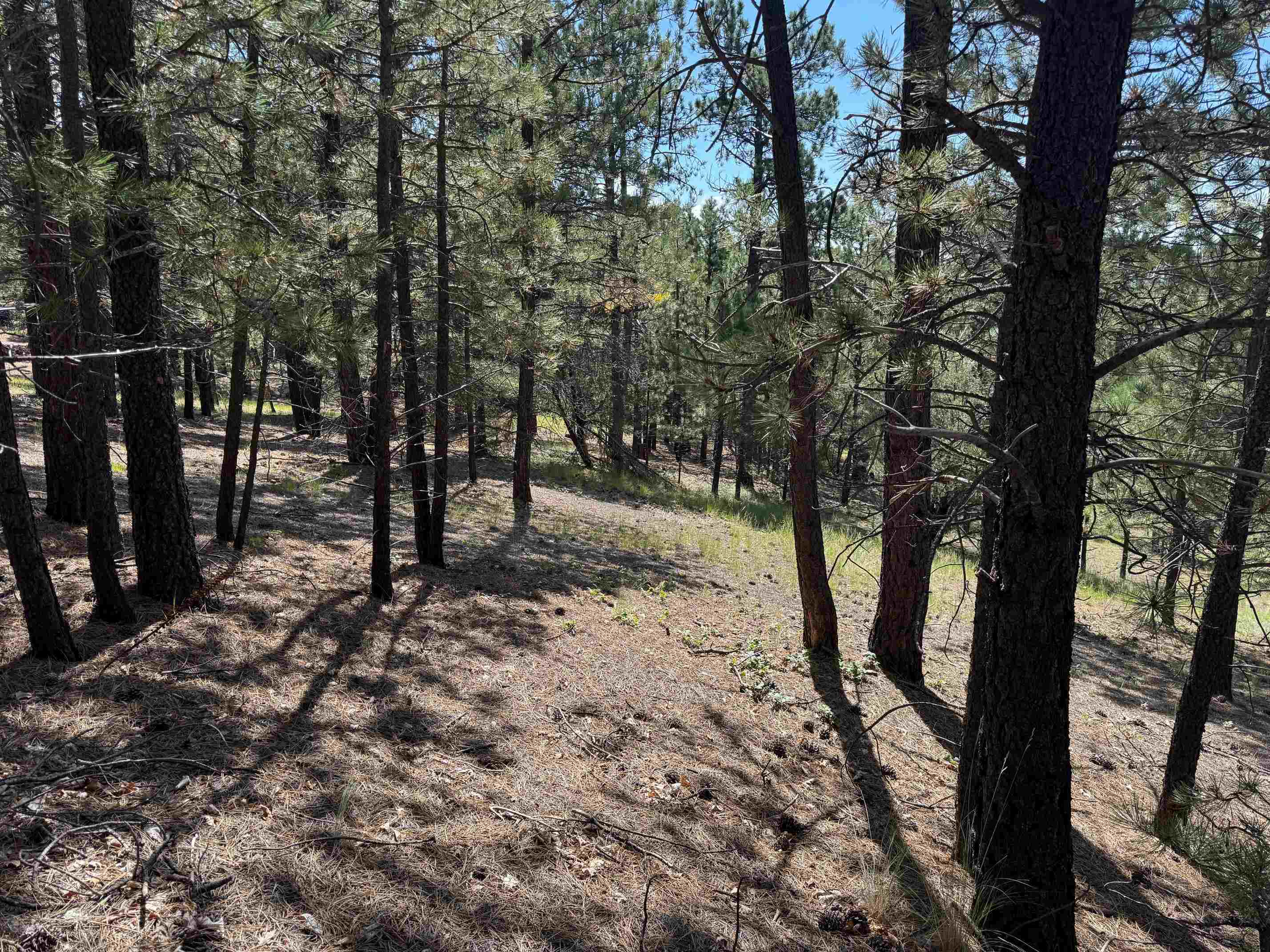 Lot 18 Upper Road Angel Fire, NM 87710 - Photo 11 of 11 Gallery Image 11