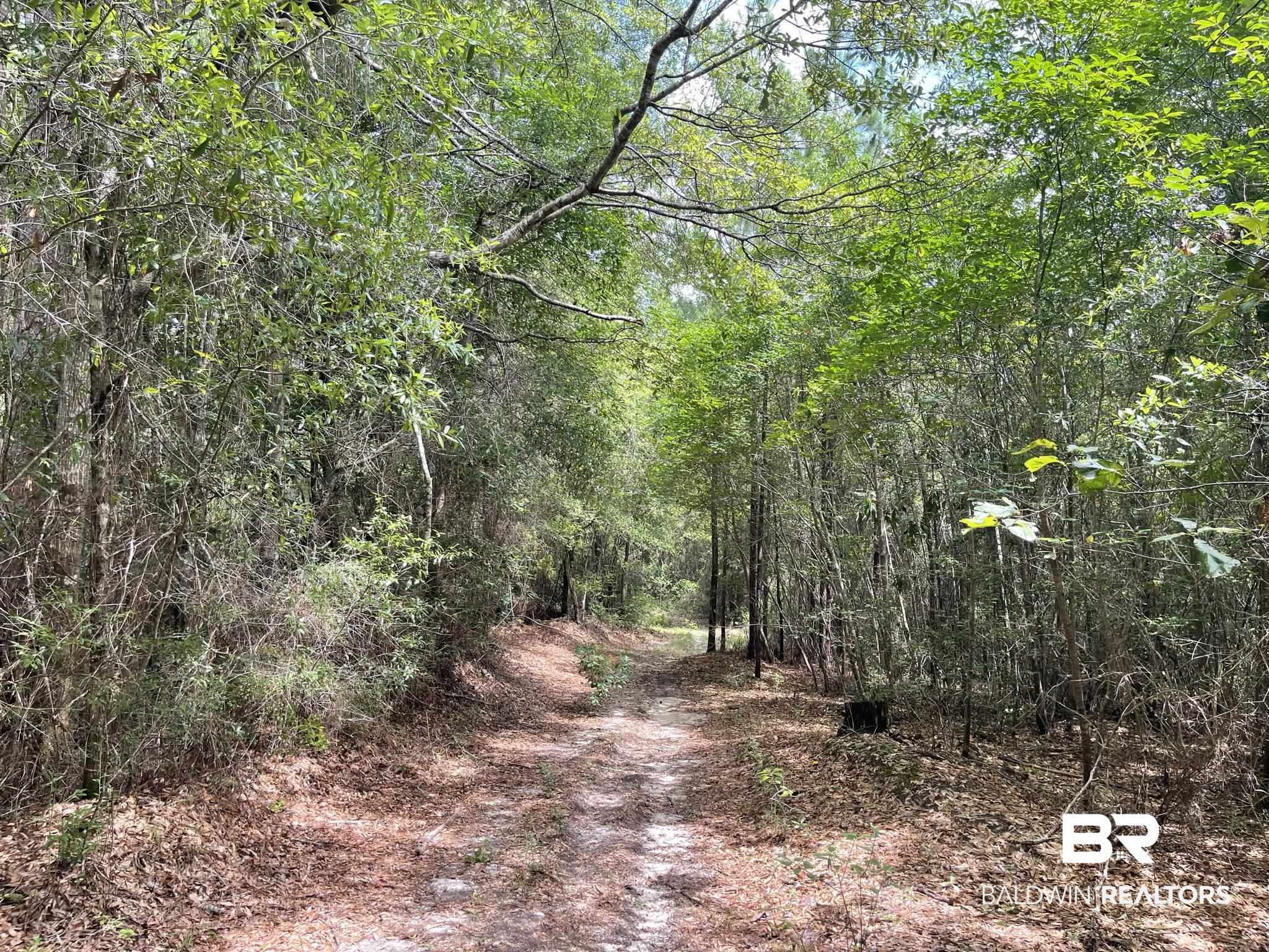 0 County Road 11 Wing, AL 36483 - Photo 21 of 37
