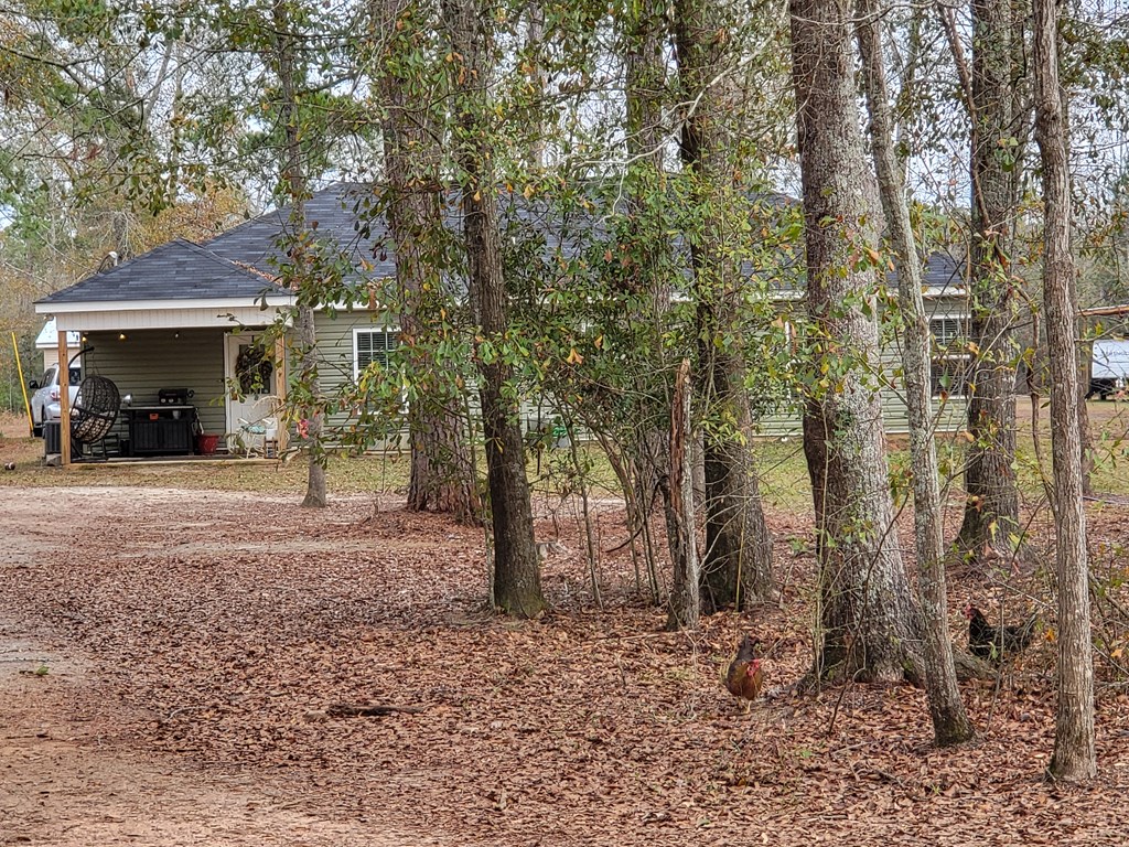 2230 Coot Adams Road Ashford, AL 36312 - Photo 6 of 34 Back of home