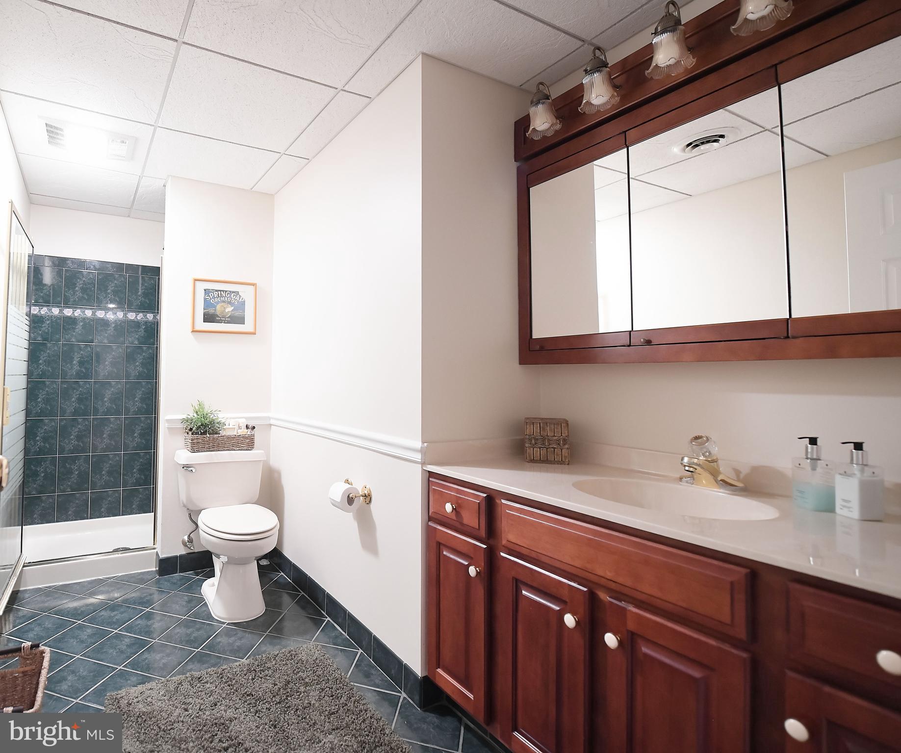 9206 Bretton Reef Road Baltimore, MD 21234 - Photo 51 of 83 Gallery Image 51
