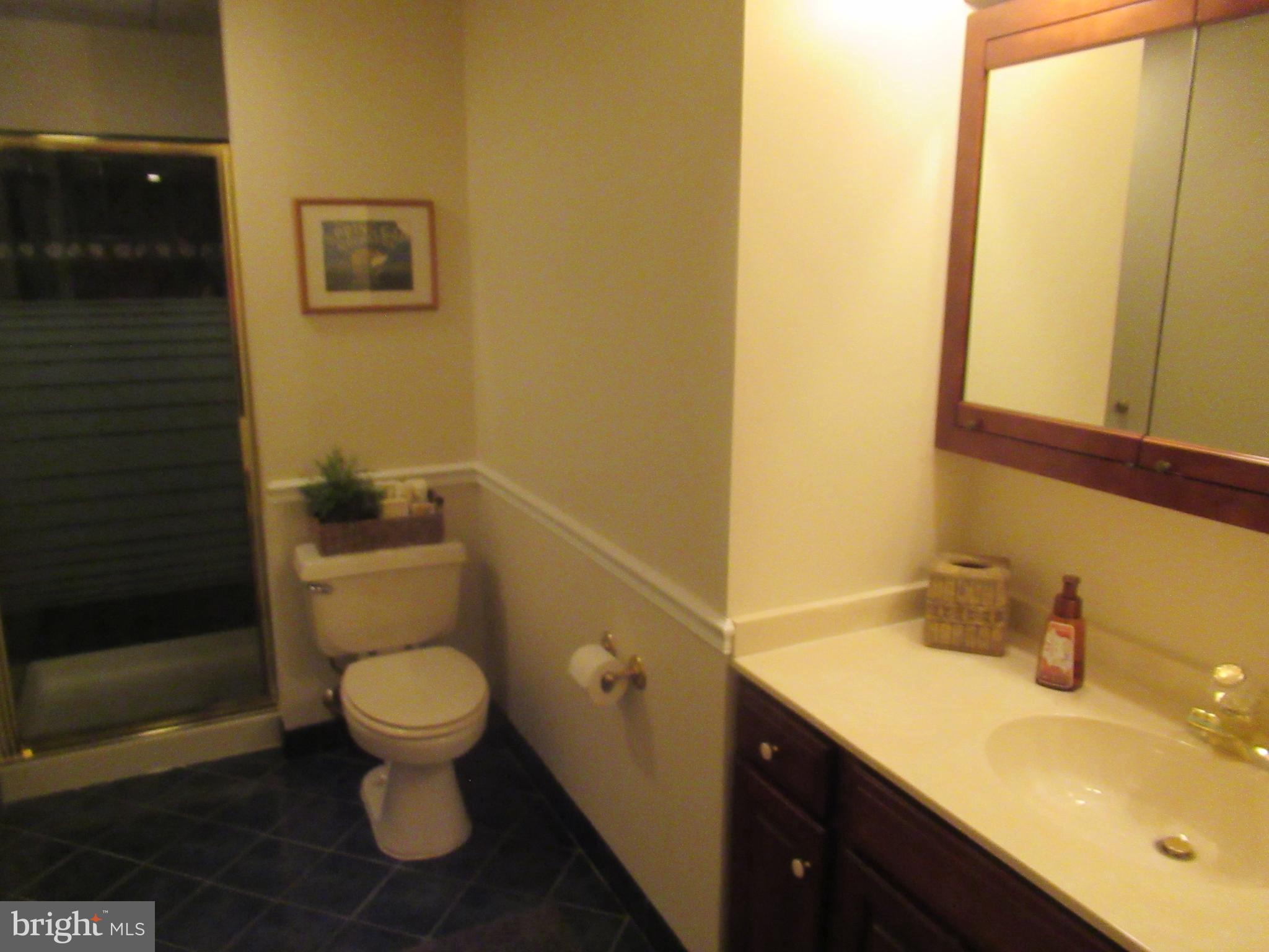 9206 Bretton Reef Road Baltimore, MD 21234 - Photo 52 of 83 Gallery Image 52