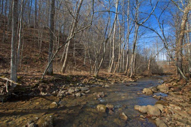 2745 Lick Creek Road Meadow Bridge, WV 25976 - Photo 33 of 44 Gallery Image 33
