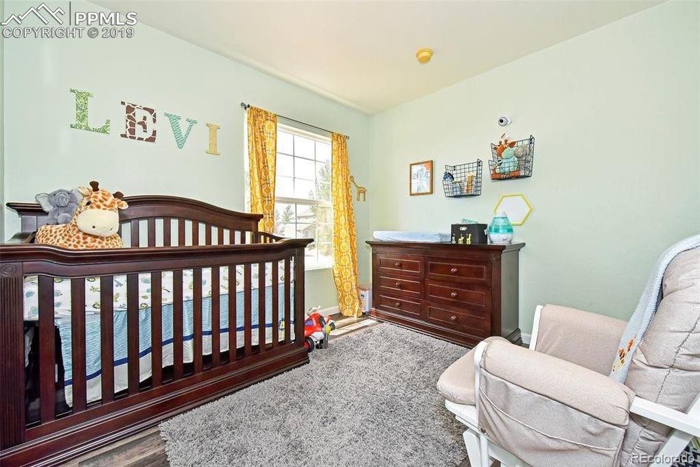 6610 Hannah Rose Road Colorado Springs, CO 80923 - Photo 26 of 29