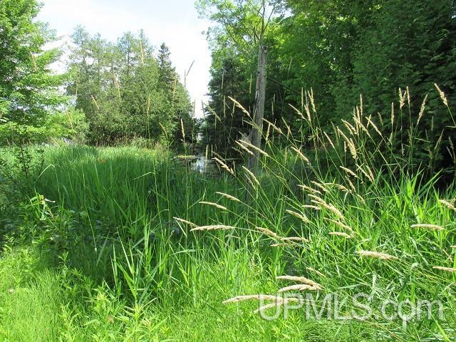 19110 West Diller Road Germfask, MI 49836 - Photo 8 of 28