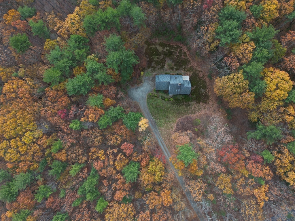 332 Old Littleton Road Harvard, MA 01451 - Photo 24 of 31 a view of a plants with a yard