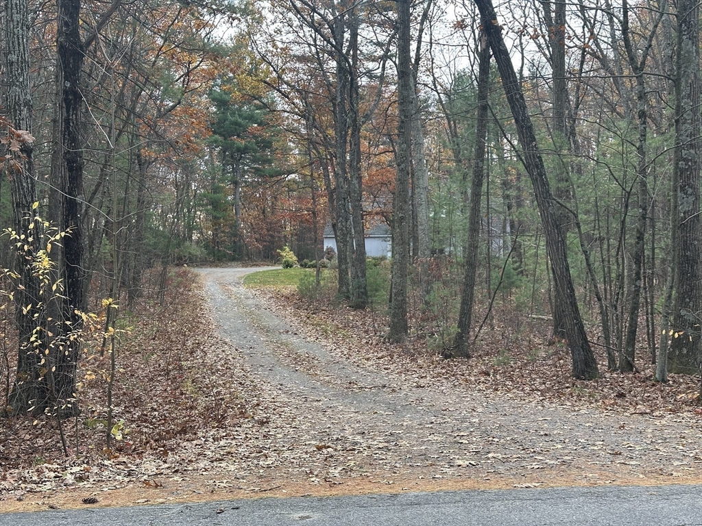332 Old Littleton Road Harvard, MA 01451 - Photo 8 of 31 a backyard of a house with lots of green space