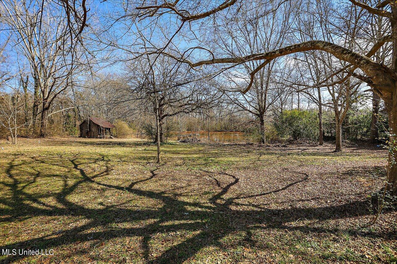 1256 Pocahontas Road Flora, MS 39071 - Photo 47 of 53 47-1256 Pocahontas Rd