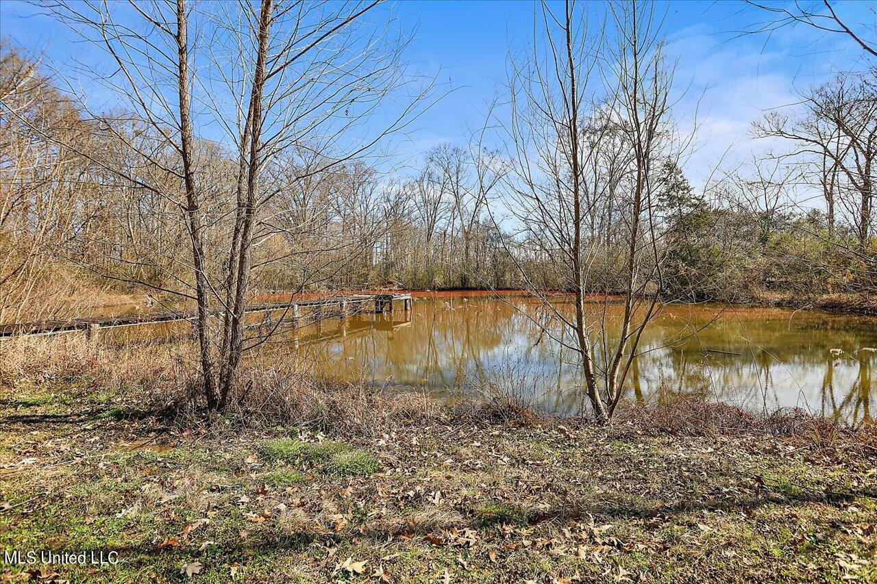 1256 Pocahontas Road Flora, MS 39071 - Photo 49 of 53 49-1256 Pocahontas Rd