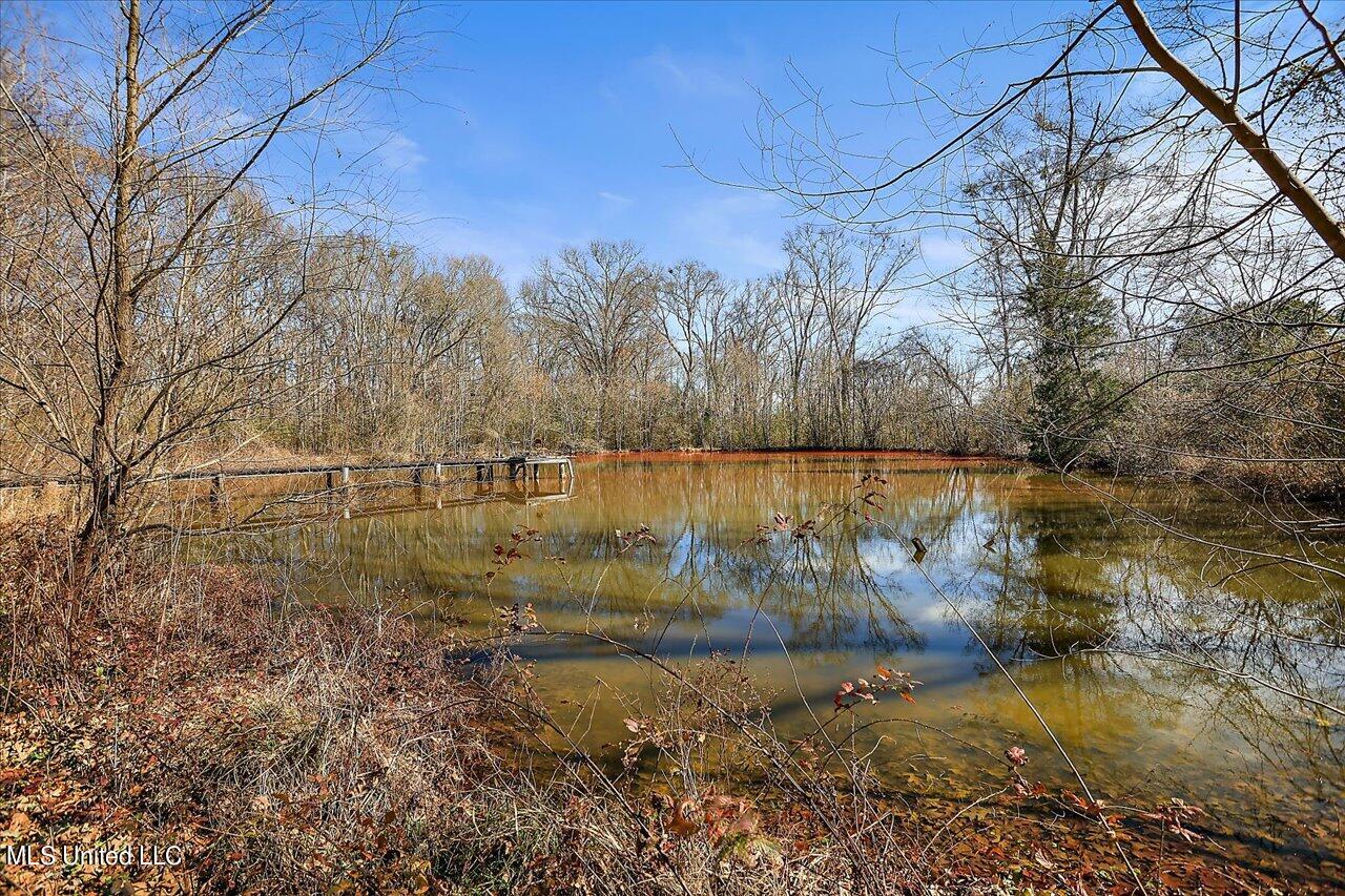 1256 Pocahontas Road Flora, MS 39071 - Photo 50 of 53 50-1256 Pocahontas Rd