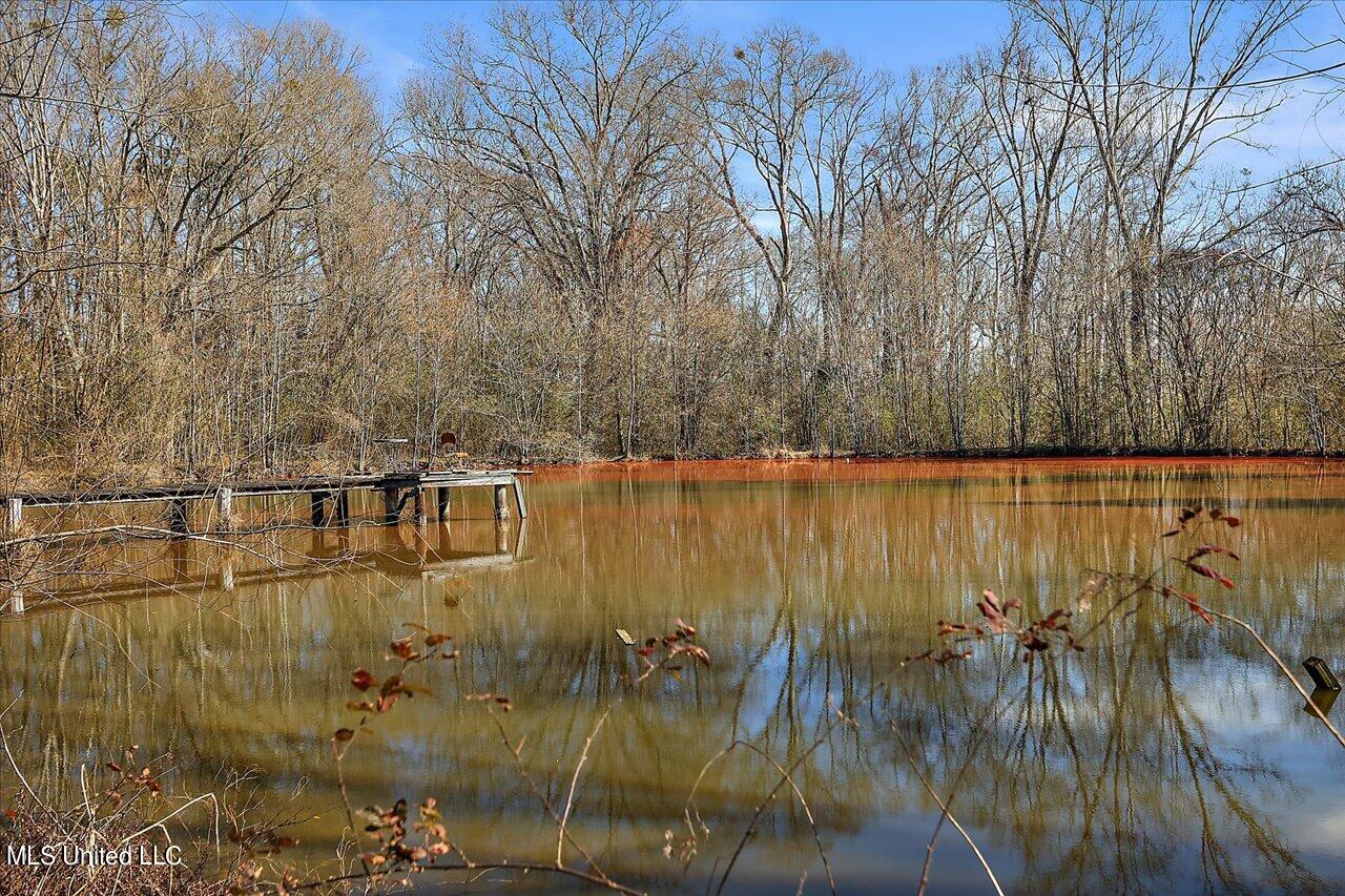 1256 Pocahontas Road Flora, MS 39071 - Photo 51 of 53 51-1256 Pocahontas Rd