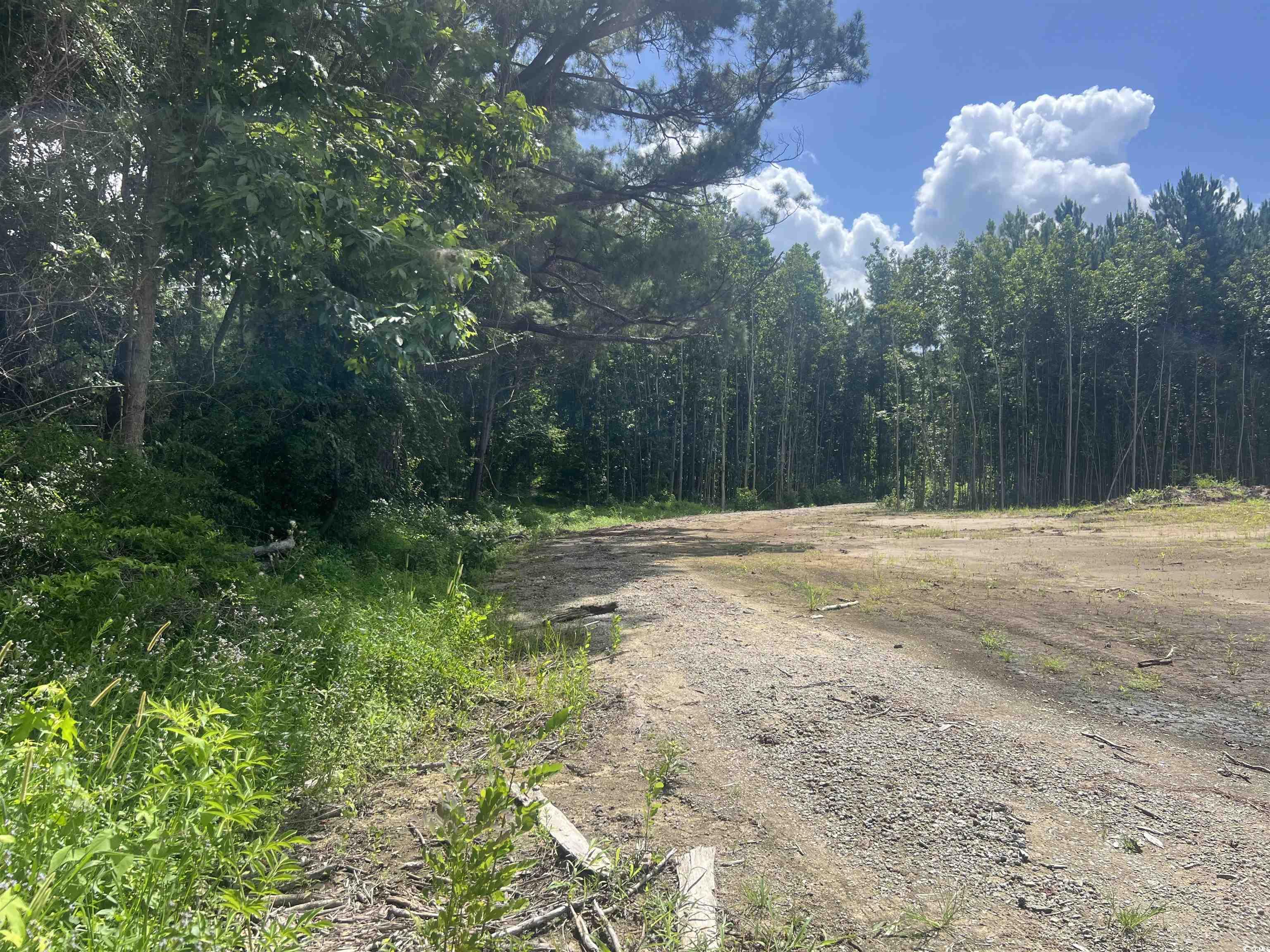 Tbd Lot 6 B Tbd Road Loris, SC 29569 - Photo 7 of 8 View of Easement going to lot 6B