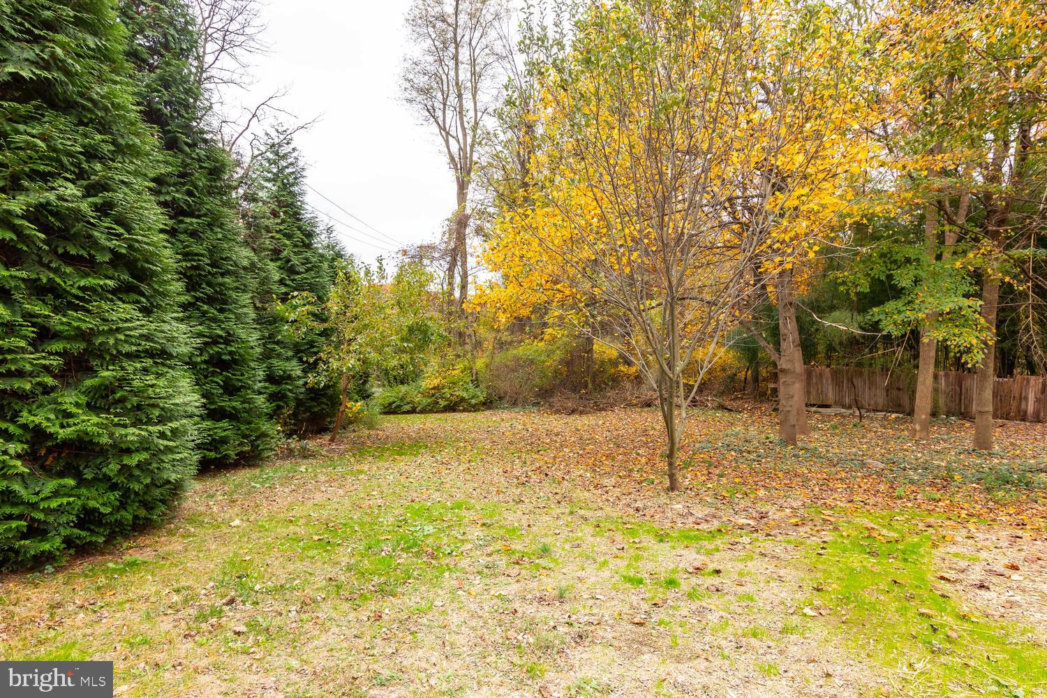 154 Neal Road Coatesville, PA 19320 - Photo 10 of 38 View of the rear yard