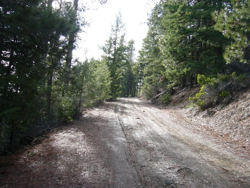 159.4 Acres Ridge Road Yreka, CA 96097 - Photo 12 of 23 Gallery Image 12