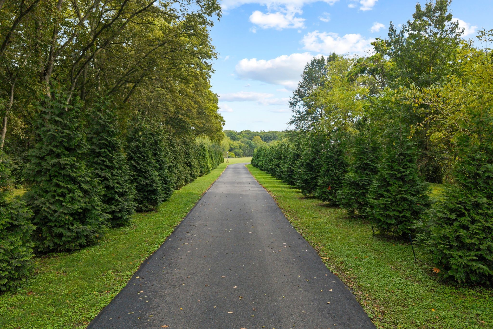 808 North Main Street Mount Pleasant, TN 38474 - Photo 2 of 91