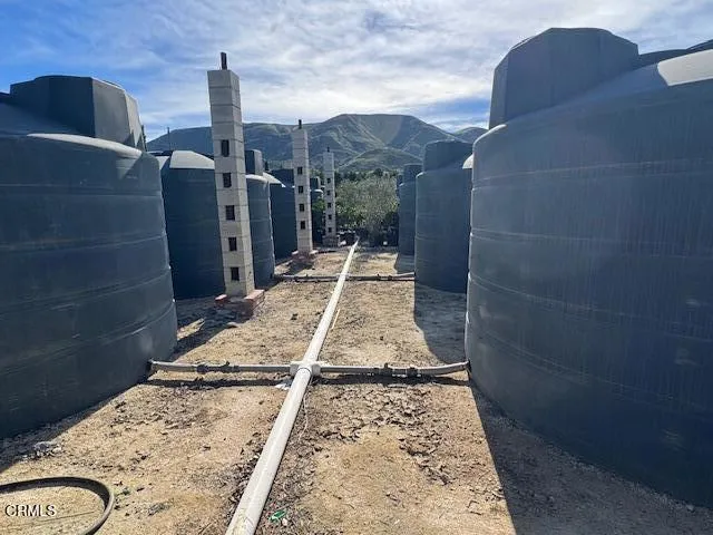 a view of a yard with plants and a tree