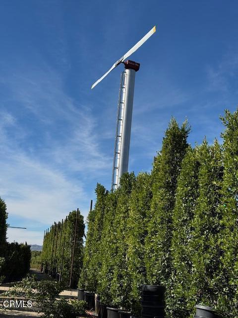 2245 California Avenue Fillmore, CA 93015 - Photo 13 of 49 a view of a yard with plants and a tree