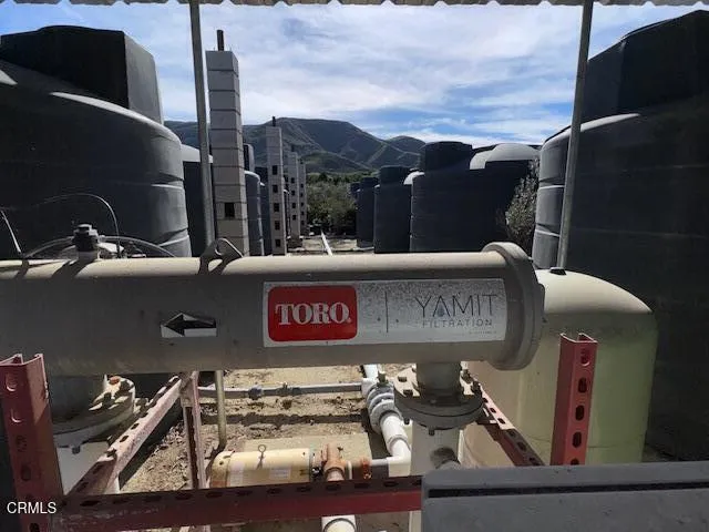 a view of a pathway both side of yard