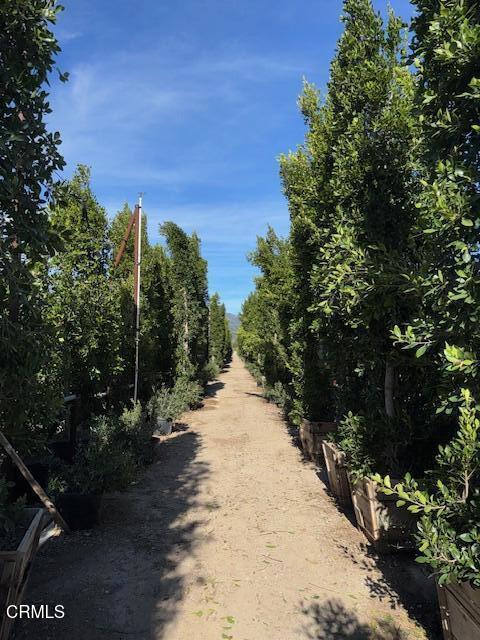 2245 California Avenue Fillmore, CA 93015 - Photo 18 of 49 a view of a pathway both side of yard