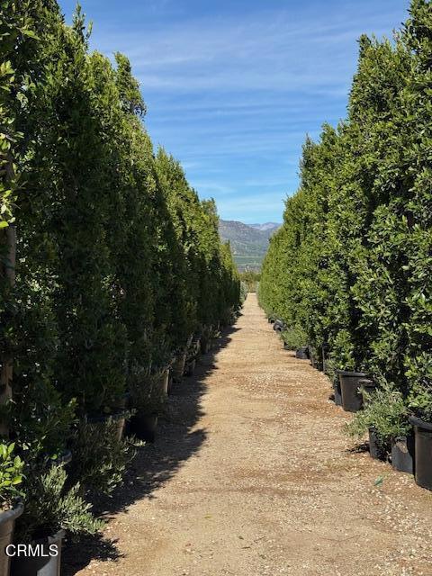 2245 California Avenue Fillmore, CA 93015 - Photo 22 of 49 a view of a pathway both side of the river