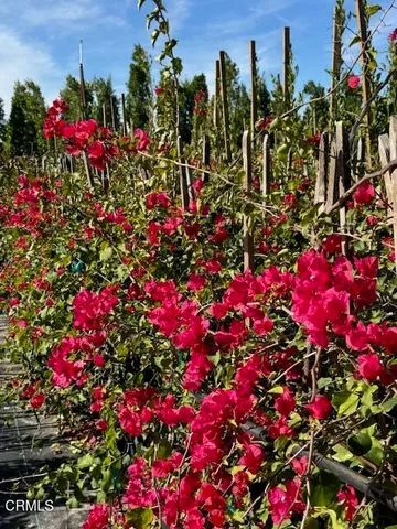 a view of a city from a balcony