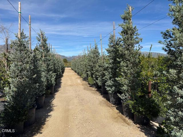 2245 California Avenue Fillmore, CA 93015 - Photo 25 of 49