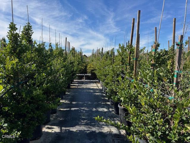 2245 California Avenue Fillmore, CA 93015 - Photo 26 of 49 a view of a pathway with a tree in front of it
