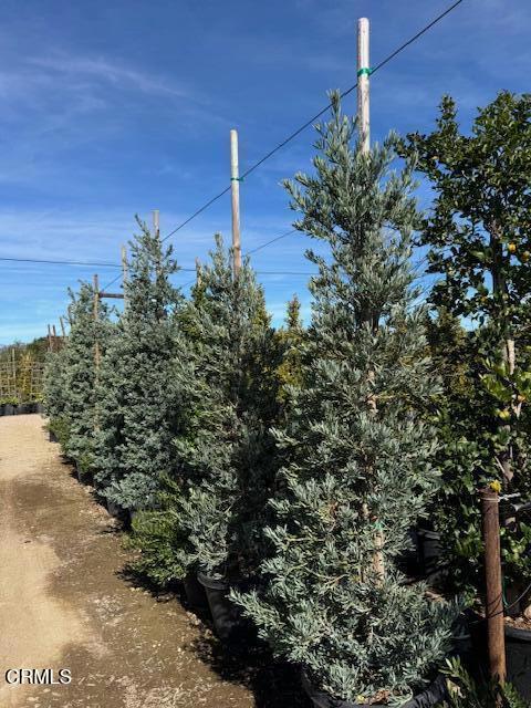 2245 California Avenue Fillmore, CA 93015 - Photo 27 of 49 a view of a house with a street