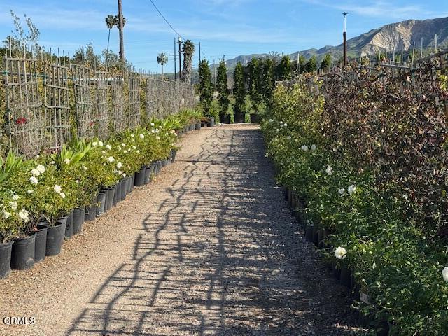 2245 California Avenue Fillmore, CA 93015 - Photo 33 of 49 a view of a pathway with a yard