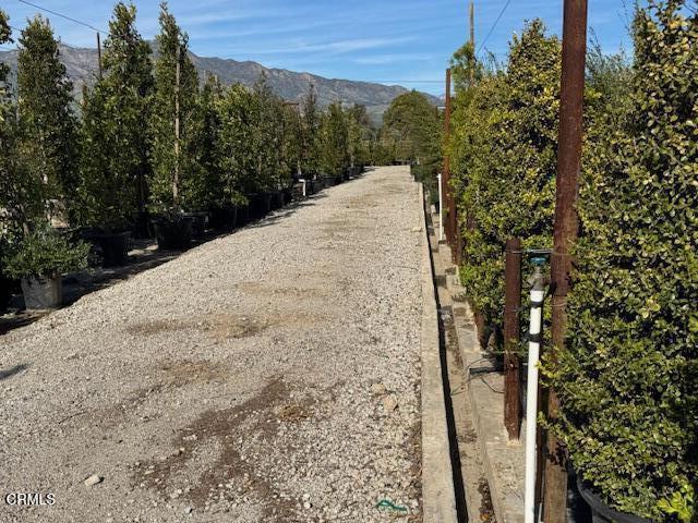 2245 California Avenue Fillmore, CA 93015 - Photo 37 of 49 a view of a dry yard with trees