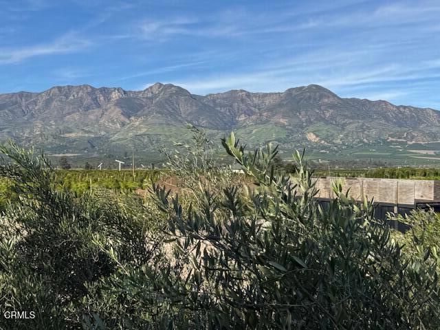 2245 California Avenue Fillmore, CA 93015 - Photo 40 of 49 a view of a mountain in the distance