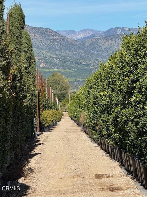 2245 California Avenue Fillmore, CA 93015 - Photo 9 of 49 a view of a backyard