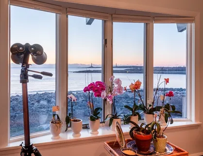 a room filled with lots of potted plants