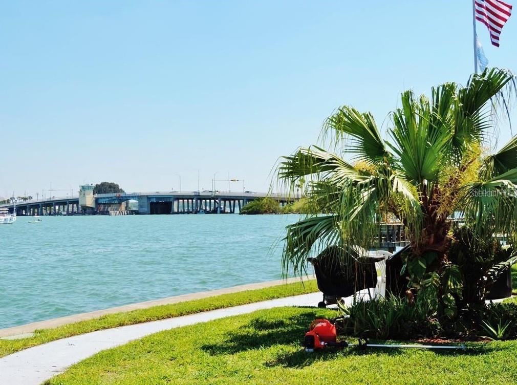 273 Rex Place, Unit G Madeira Beach, FL 33708 - Photo 11 of 42 a view of a garden with plants and lake view
