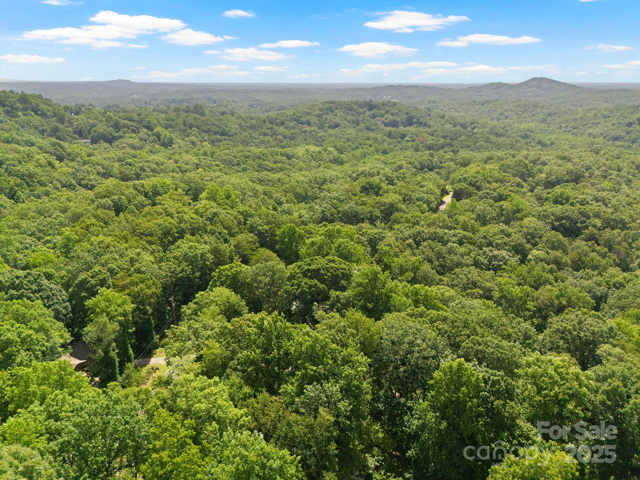 56 Cardinal Circle Tryon, NC 28782 - Photo 31 of 34