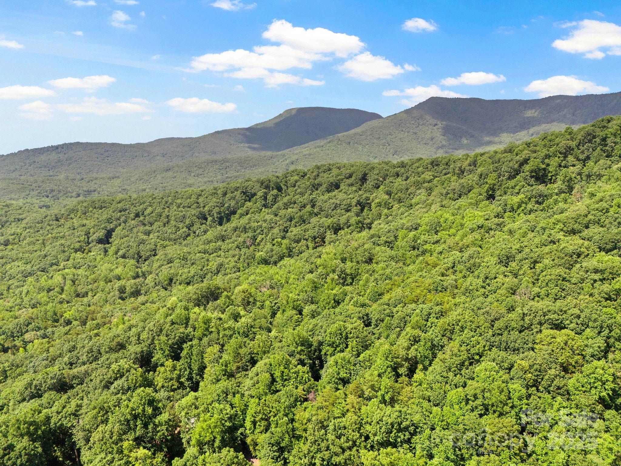 56 Cardinal Circle Tryon, NC 28782 - Photo 34 of 34