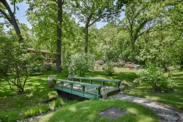 a view of a two chairs in a garden