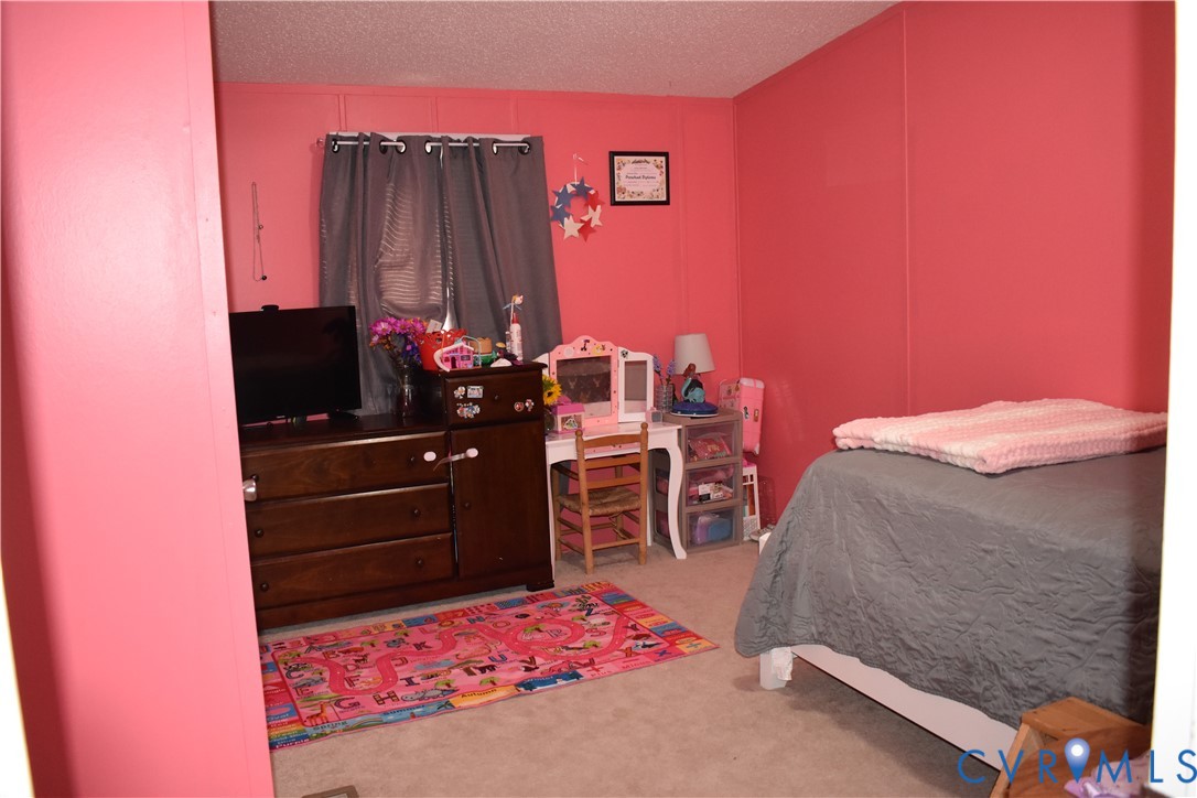 26049 Guy Place Road Courtland, VA 23837 - Photo 23 of 24 Carpeted room with a window featuring dark gray cu