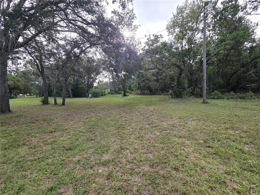 14822 Dilbeck Drive Spring Hill, FL 34610 - Photo 40 of 40 a view of a field with trees in background