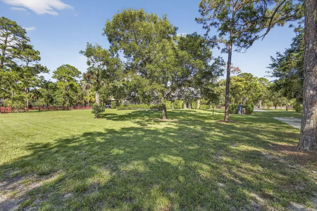 a garden with trees in the background
