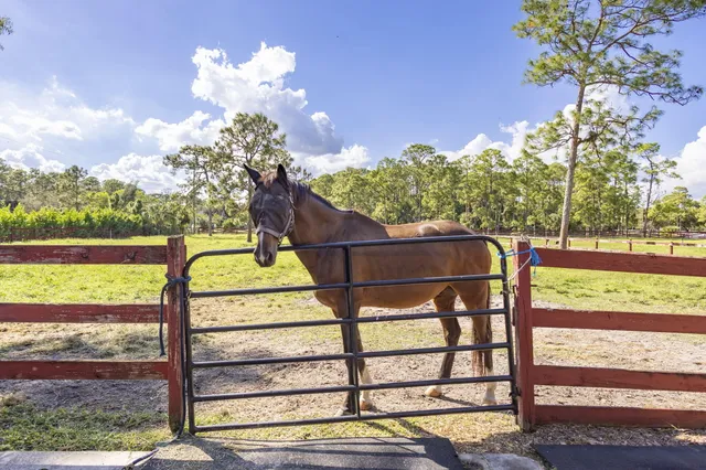 a view of a bench in the yard