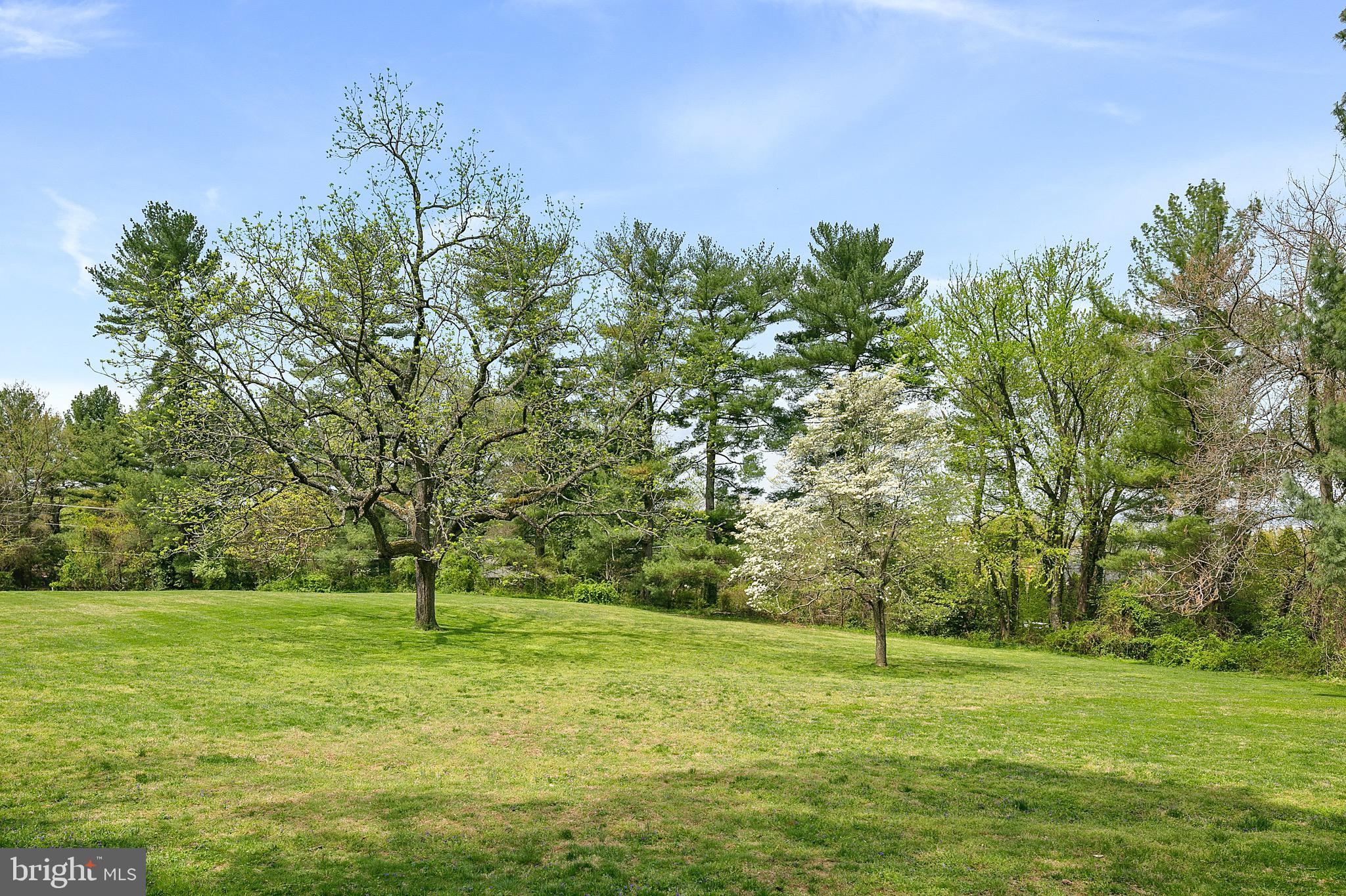 1213 Towlston Road McLean, VA 22102 - Photo 44 of 50 Large field with bordering trees provide privacy