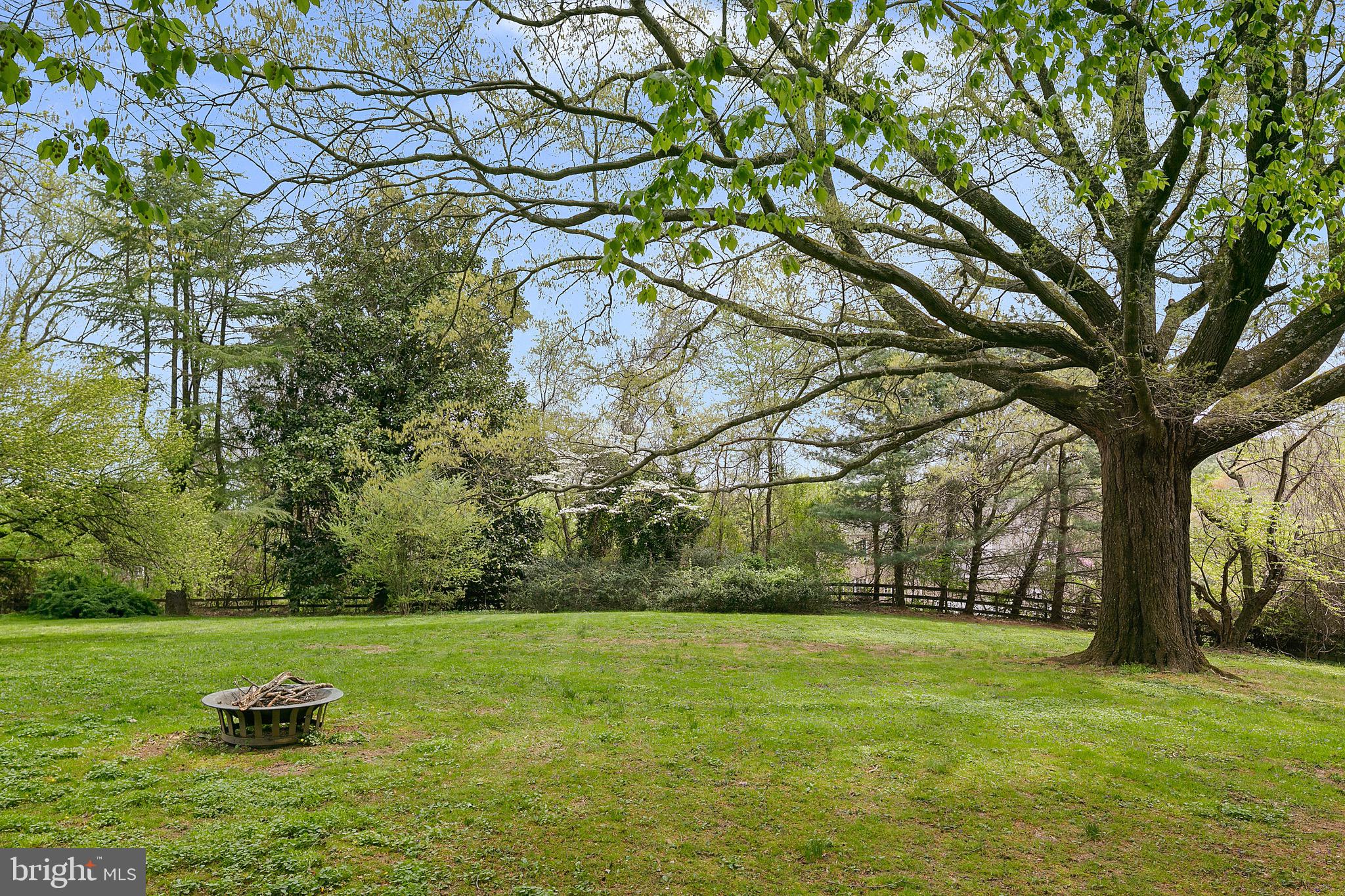 1213 Towlston Road McLean, VA 22102 - Photo 46 of 50 Enormous live oaks grace the bucolic estate