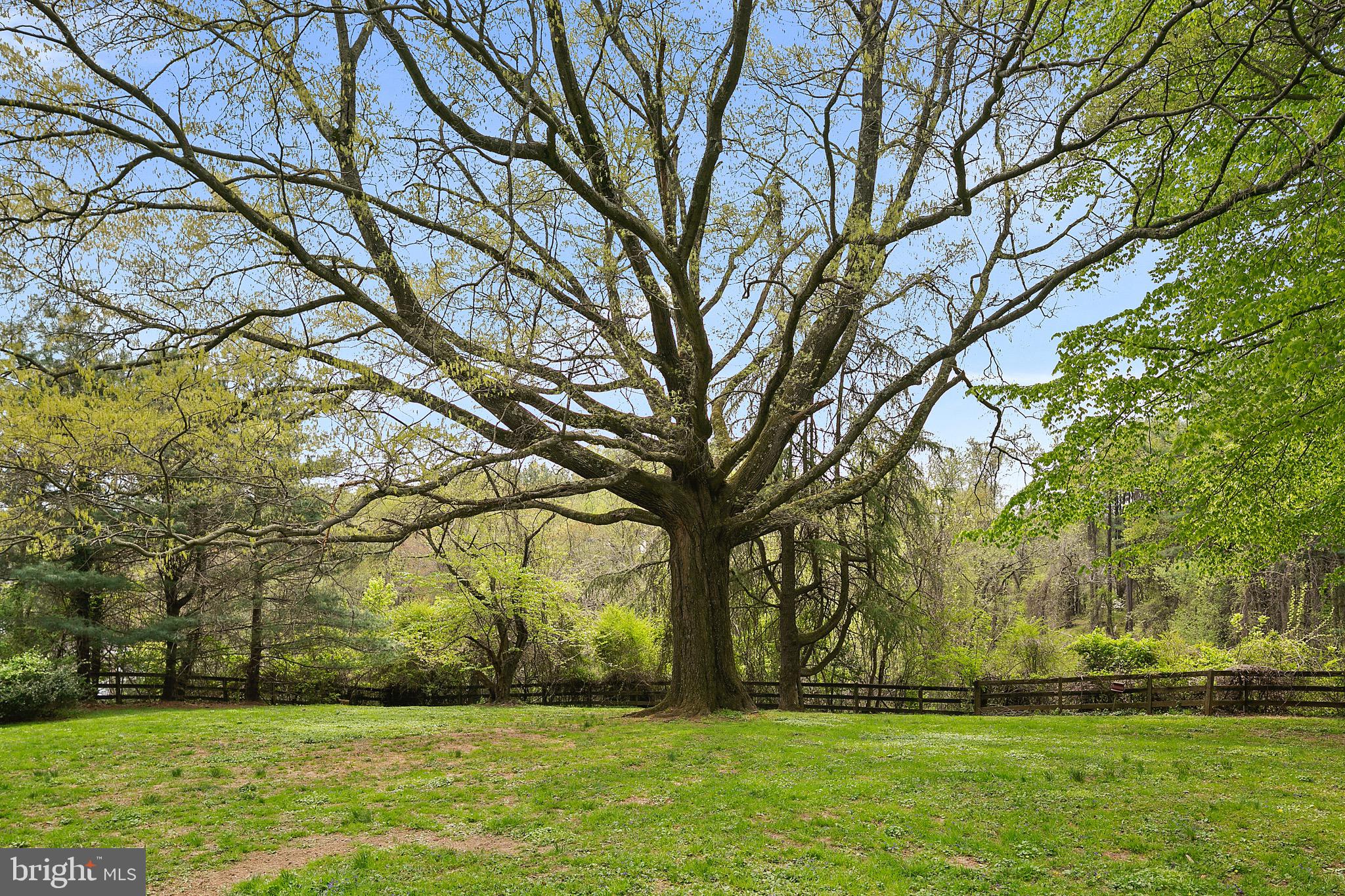 1213 Towlston Road McLean, VA 22102 - Photo 47 of 50 All acreage plus easement completely fenced