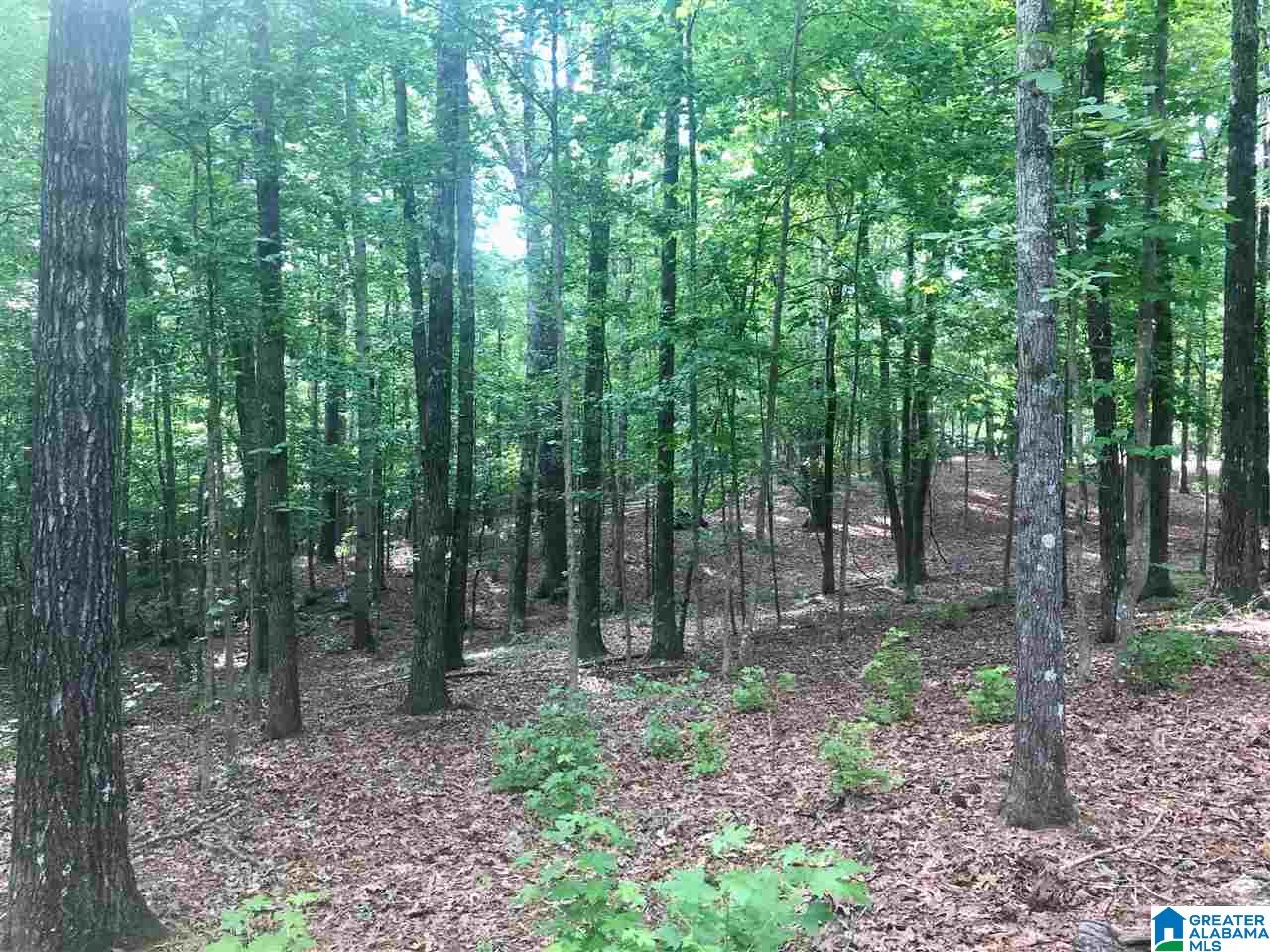 404 Jasmine Hill Road, Unit 404 Pelham, AL 35124 - Photo 4 of 5