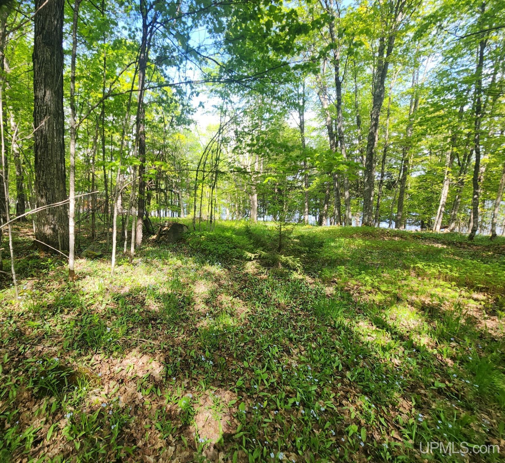 Lot 18 University Road Iron River, MI 49935 - Photo 21 of 36 Gallery Image 21