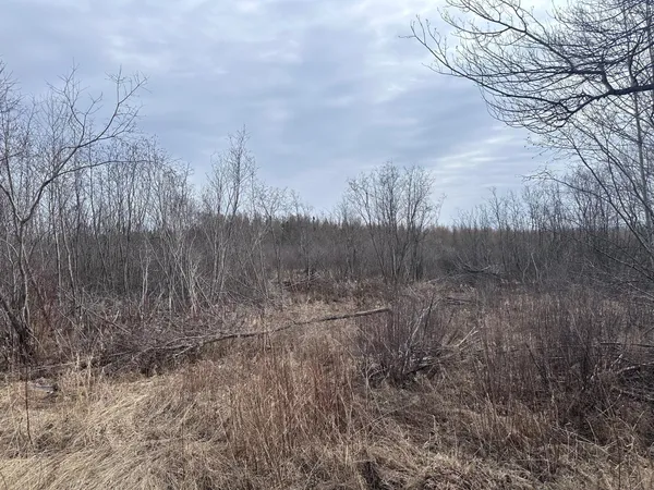 $85,000 | Tbd Hermantown Road, Cloquet, MN 55720